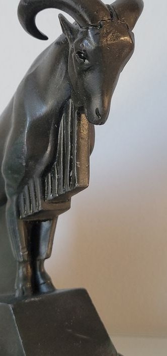 Mouflon — detail photograph 1