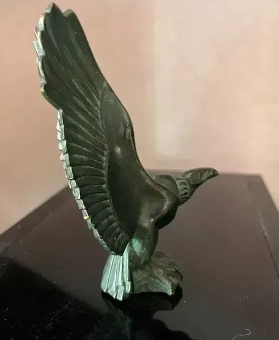 Vulture — detail photograph 1